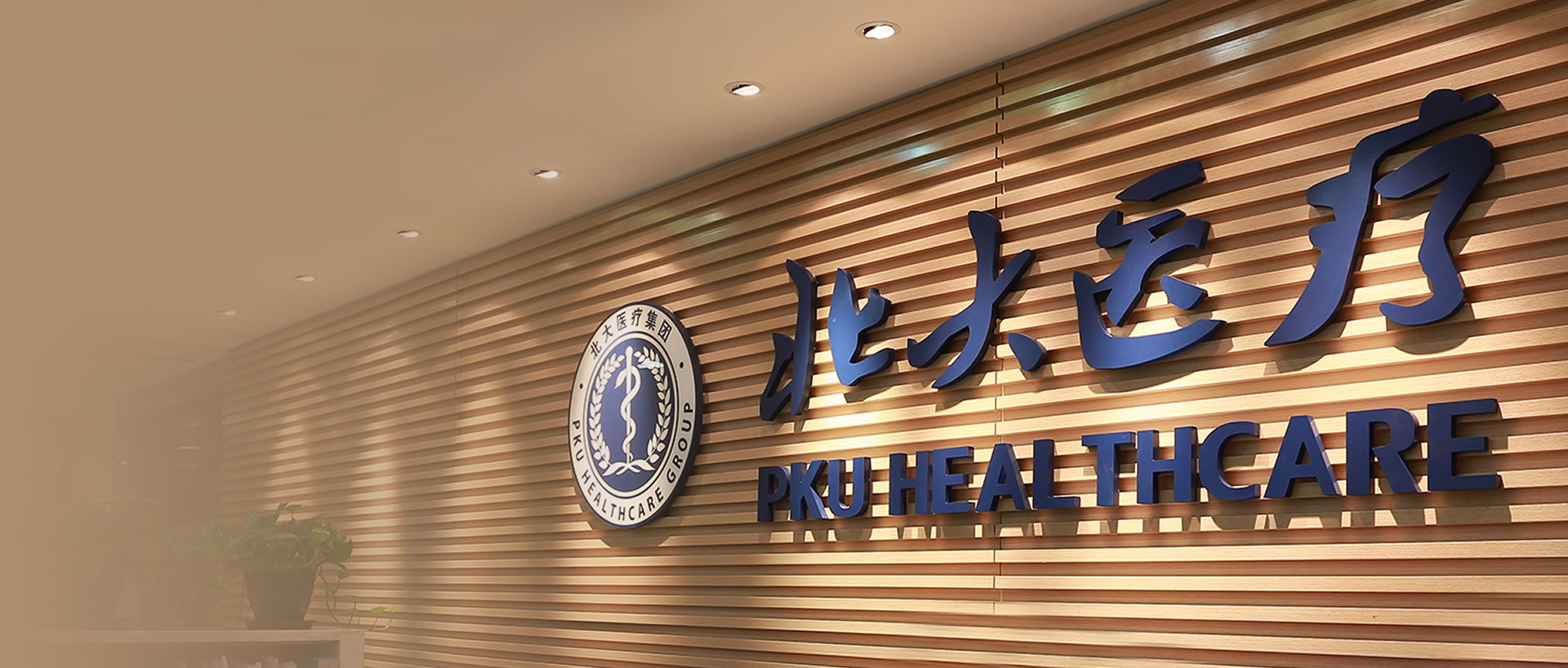 北大医疗官方网站建设